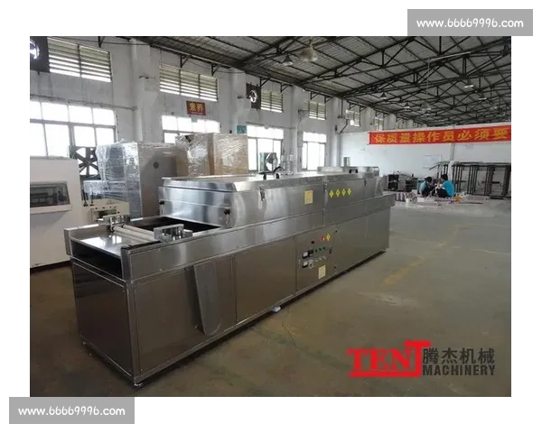 乐竞手机网页版登录入口全新升级打造便捷安全的在线娱乐体验平台