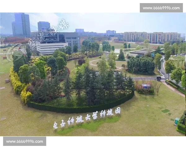 秦文龙:从青年奋斗到行业领军人物的成长历程与人生智慧